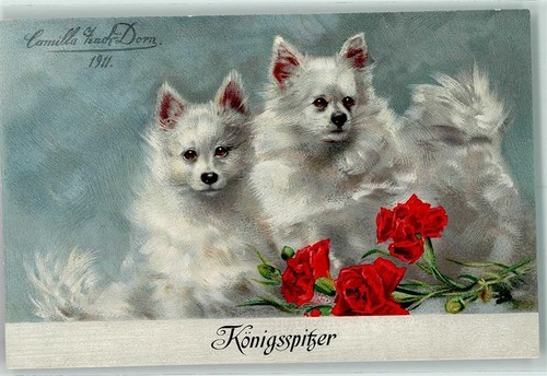 10268388 koenigsspitzer signed - 10268388-koenigsspitzer,